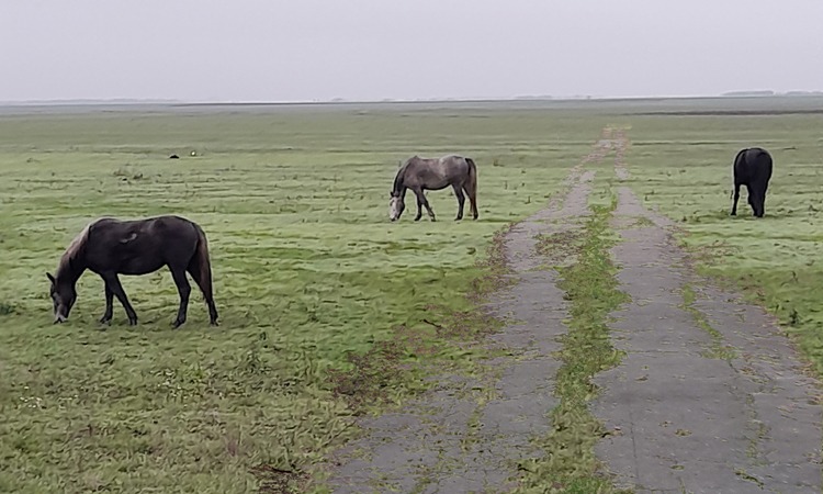 Pročitajte više o članku Put kroz Banat