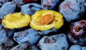 Pročitajte više o članku Manje-više slatki kolači sa šljivama