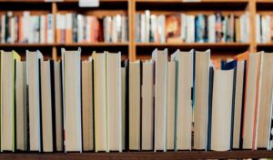 Pročitajte više o članku Čitalački maraton: BEZ PREVODA