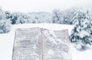 Pročitajte više o članku Knjige u kojima pada sneg