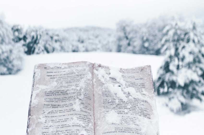 Pročitajte više o članku Knjige u kojima pada sneg